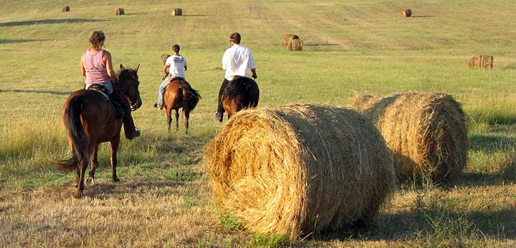 TREVIGNANO_ROMANO_percorsi_a_cavallo